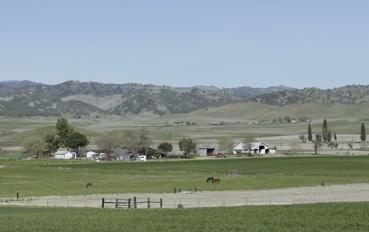 Horses graze in the Sites Valley, the location of a proposed reservoir, near Maxwell, Calif.