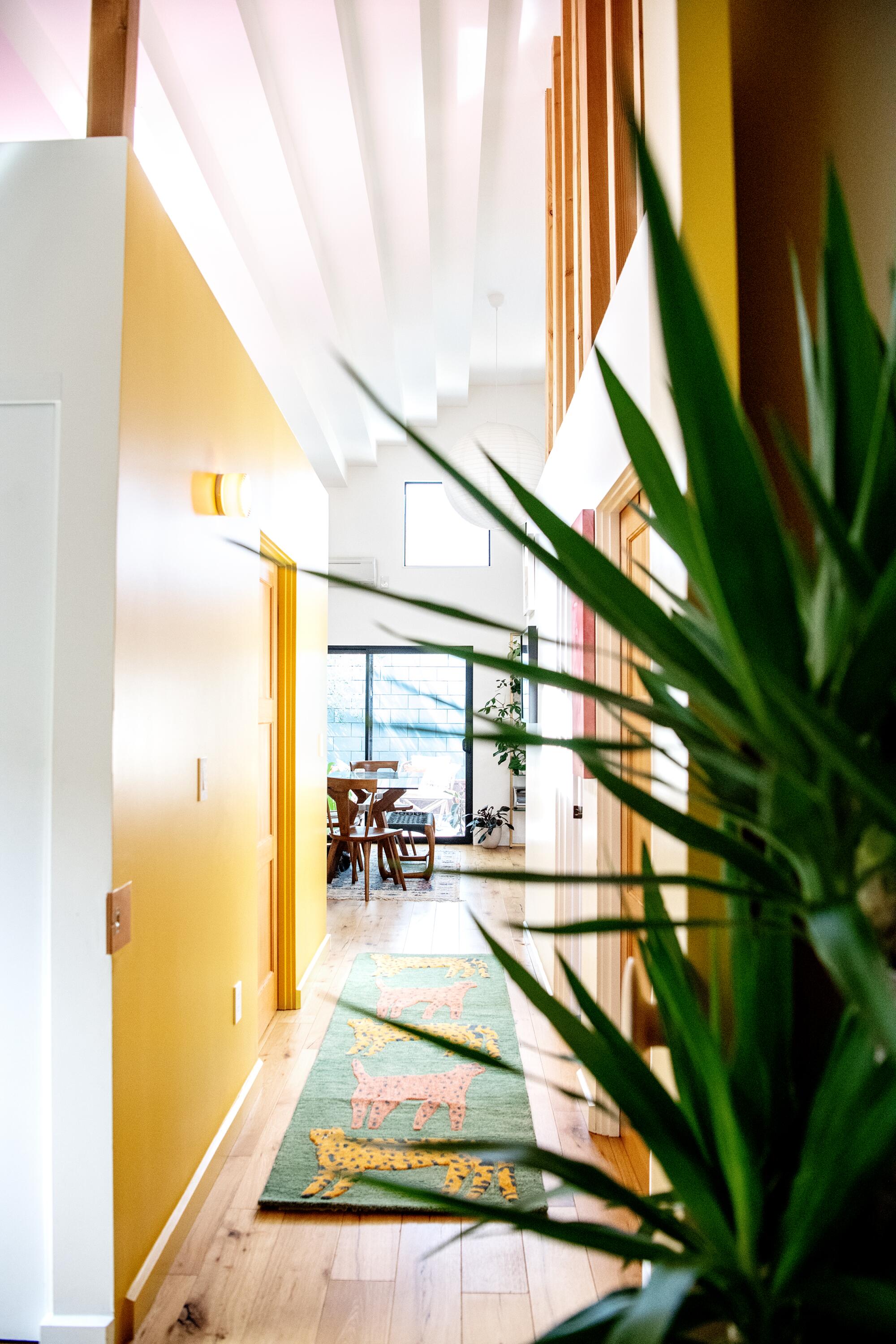 A hallway with a colorful rug and a spiky plant in the foreground