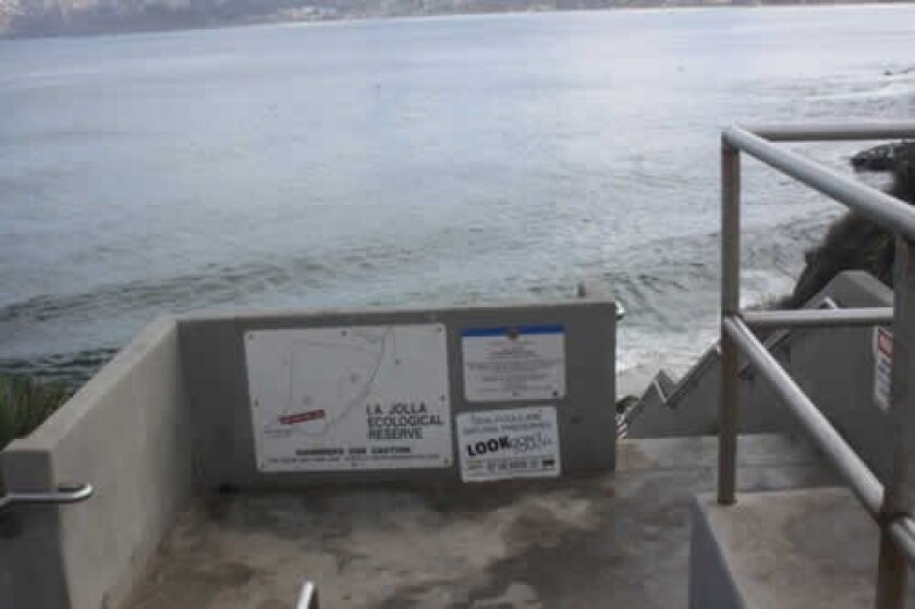 Wildcoast is working to improve the signage explaining Marine Protected Areas, like this one at the La Jolla Cove.