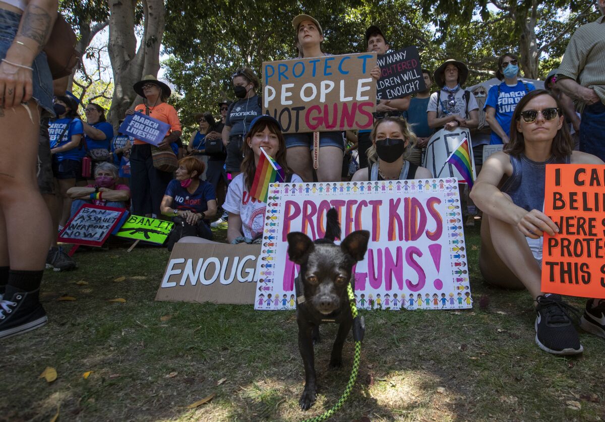 A dog sitting in the grass in front of a large group of people holding signs including "Protect kids, not guns!"