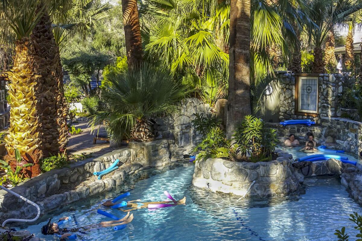 Outdoor mineral springs pool surrounded by trees 