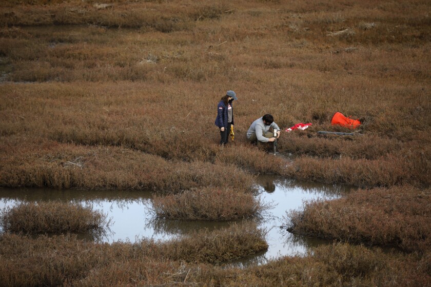 Matt Costa, a researcher at Scripps Institution of Oceanography, right, and Lisa Gilfillan of WildCoast collect soil samples