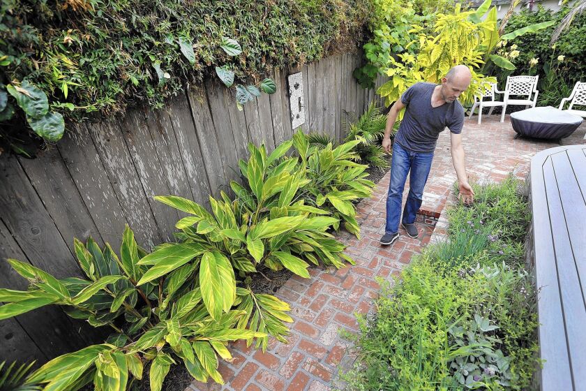 Cameron Clark walks through his back patio, where bananas, guava, passion fruit, ginger and an herb garden are fed by water diverted from his clothes washer in his 1905 Victorian farmhouse in Santa Barbara.