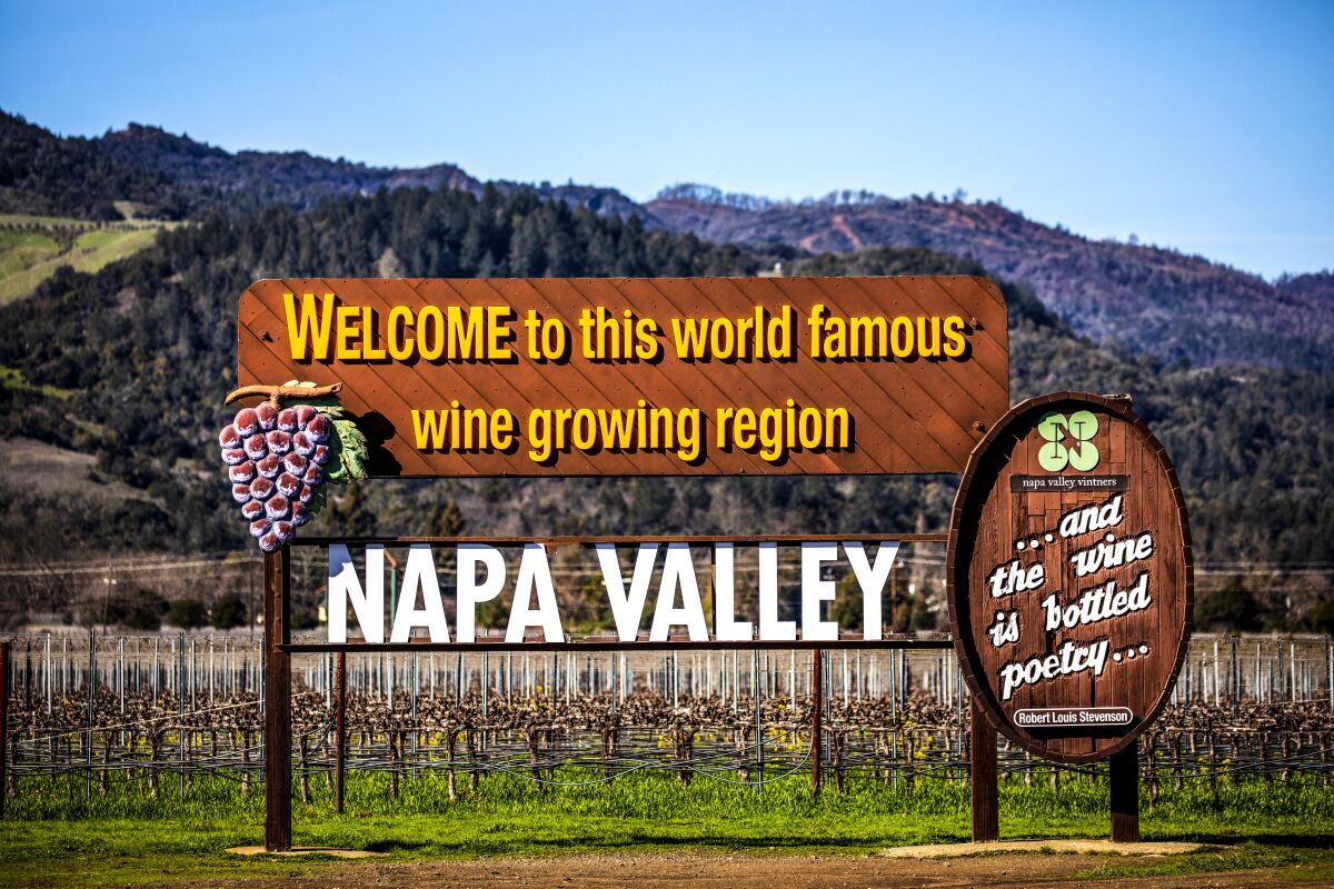 A sign in front of a vineyard says "Welcome to this world famous wine growing region, Napa Valley"