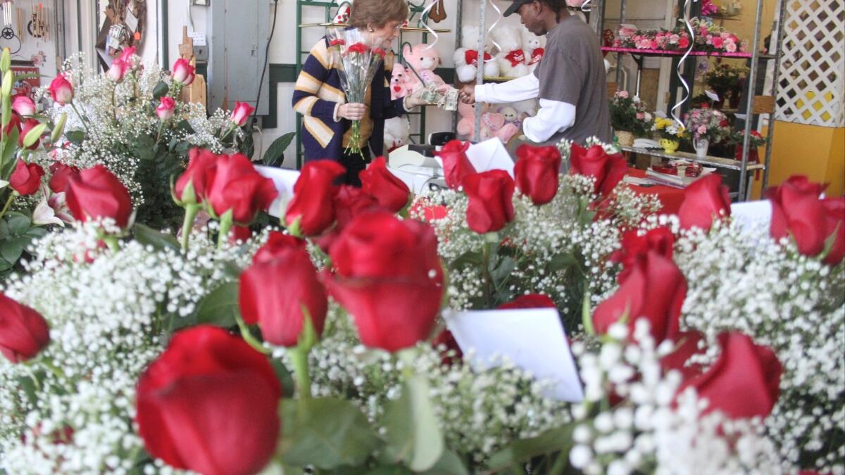 Roses are red and contributing to climate change, florists warn, Climate  Crisis News