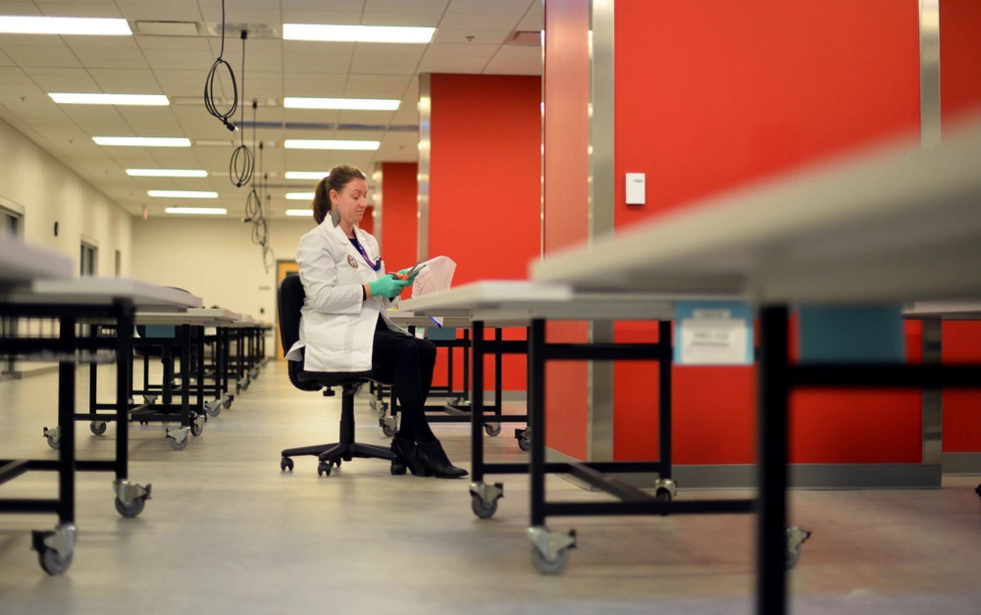 A forensic anthropologist works in a lab.