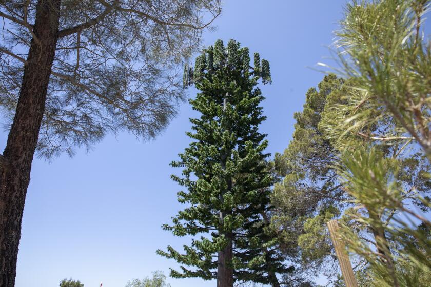 AGUA DULCE, CA - MAY 10: A cell tower disguised as a pine tree, center, stands among real pines in the backyard of a home on Sierra Hwy. on Monday, May 10, 2021 in Agua Dulce, CA. (Brian van der Brug / Los Angeles Times)