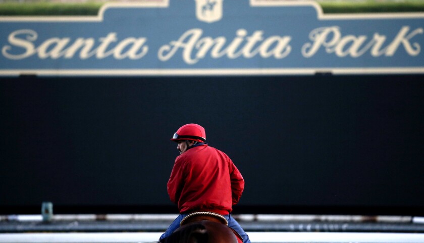 Special Report Horse Deaths At Santa Anita May Have