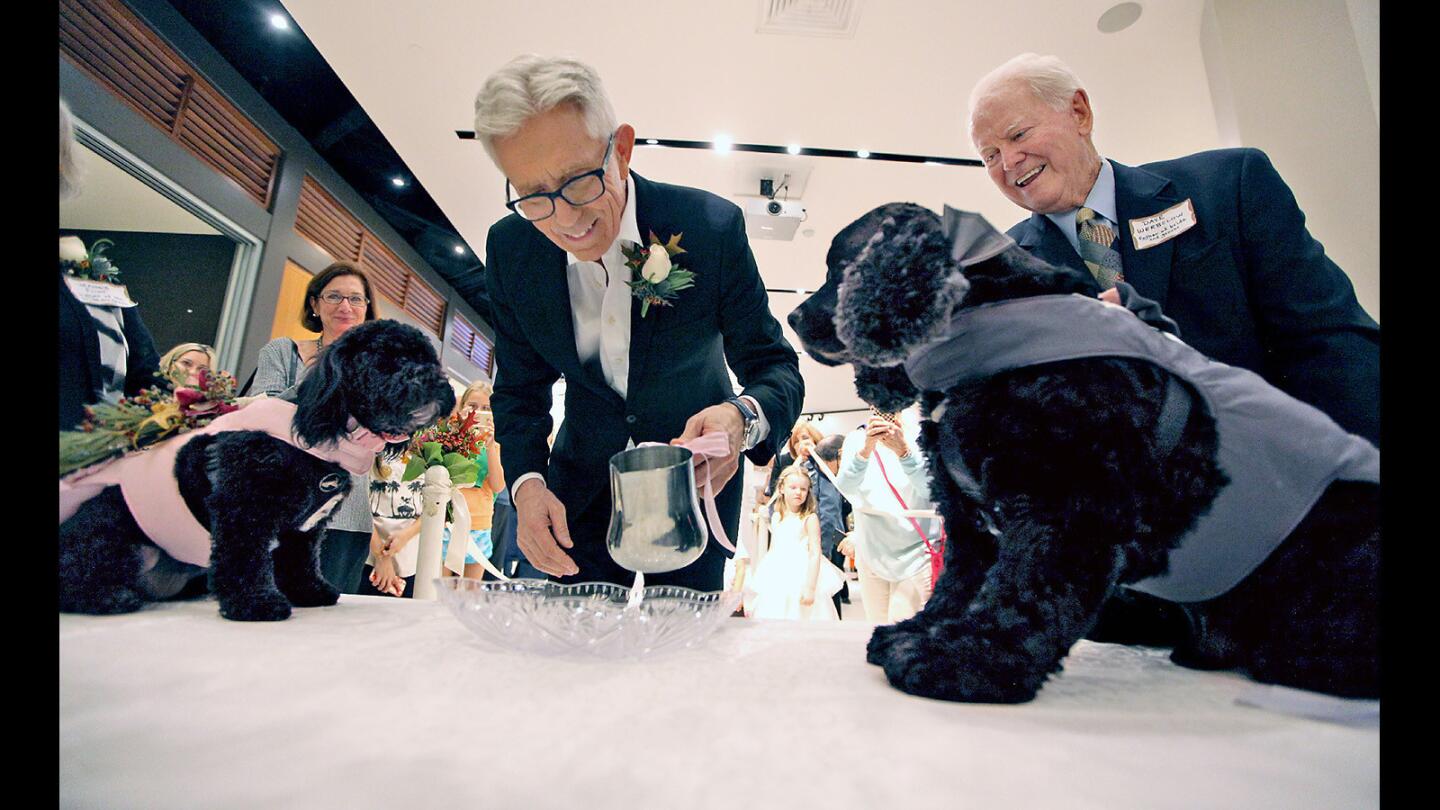 Weatherman Fritz Coleman serves up water to Molly and Martin with co-owner Dave Werbelow to the right after a "marriage" ceremony during a fundraiser for the Glendale Humane Society at PIRCH in the Glendale Galleria on Friday, November 4, 2016.
