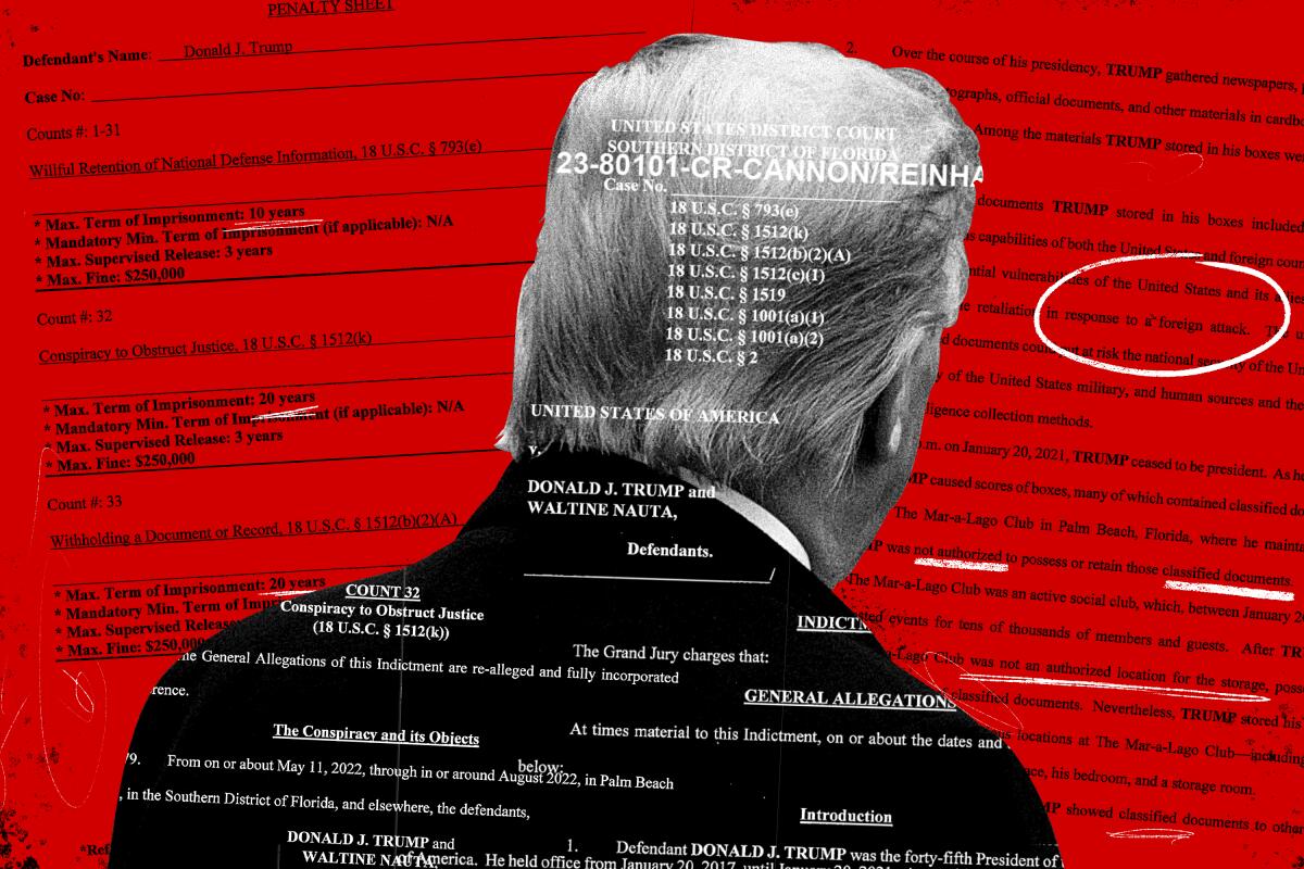 A photo collage of Donald Trump from behind in black-and-white and federal indictment papers against a red background