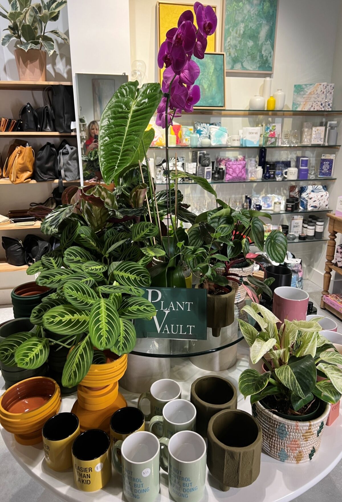Plant Vault wares on display at Sedera.