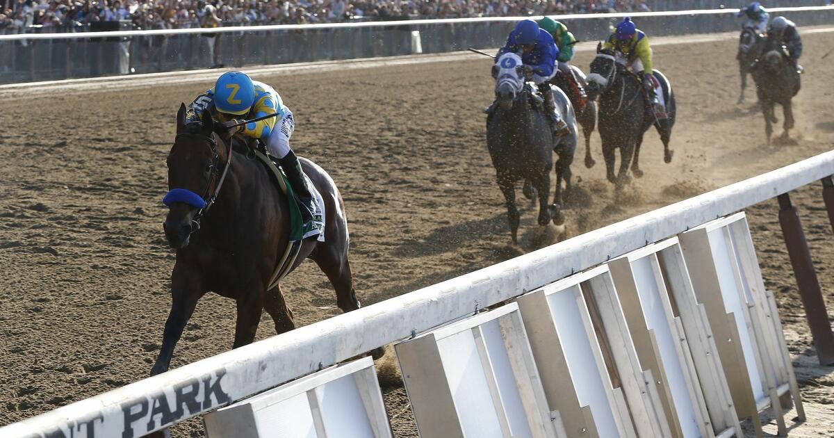 American Pharoah Wins Preakness In Downpour - CBS Baltimore