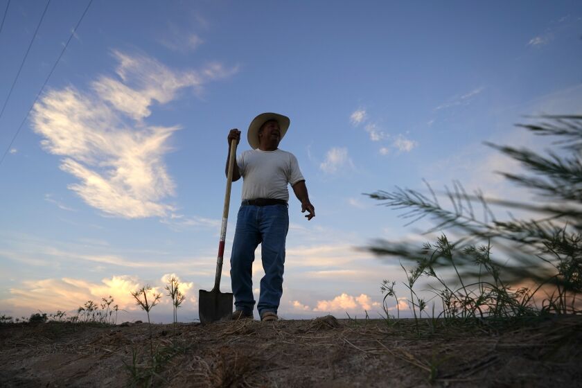 Raúl Quiriarte se toma un descanso mientras trabaja en el sistema de riego de una granja de Brawley (California) el 14 de agosto del 2022. Quiriarte es regador desde los 18 años. Aprendió el oficio de su padre. (AP Photo/Gregory Bull)