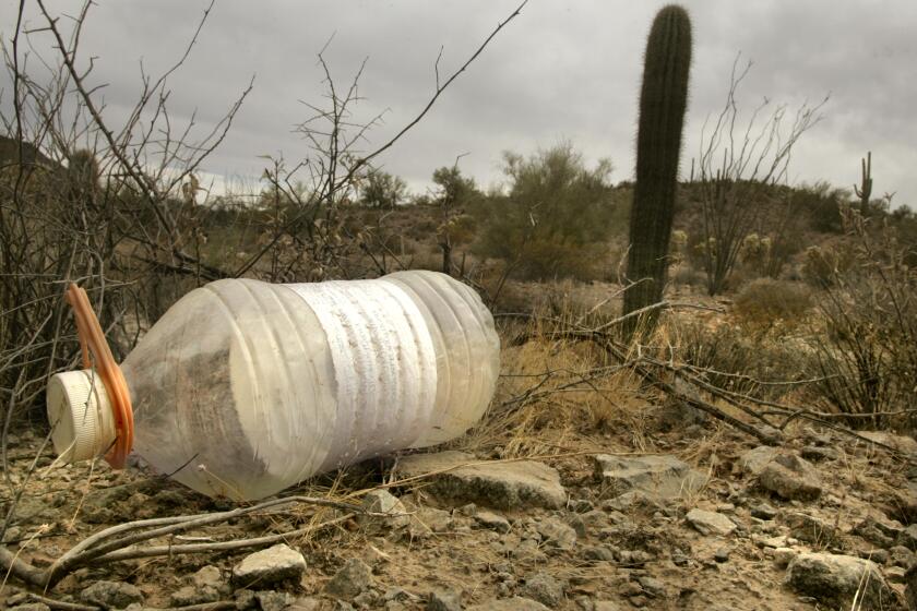 Boster, Mark –– Disappearing wildlife, and destruction of desert eco systems are part of the problem along the Arizona Mexico border with border patrol agents chasing illegal immigrants through the desert. 108284.MN.0213.border.MJB–(Ajo, Arizona)–Water bottles left behind by migrants traveling through the Cabeza Prieta National Wildlife Refuge litter the desert in southern Arizona.Disappearing wildlife and destruction of desert eco–systems are part of the devastating toll that the government's running battle with smugglers and migrants is taking on national parks and wildlife refuges near the US border with Mexico. The destruction extends through a broad swath of the Sonoran desert with ghost roads covered with moon dust carved by smugglers and pursuing federal agents. February 13, 2006