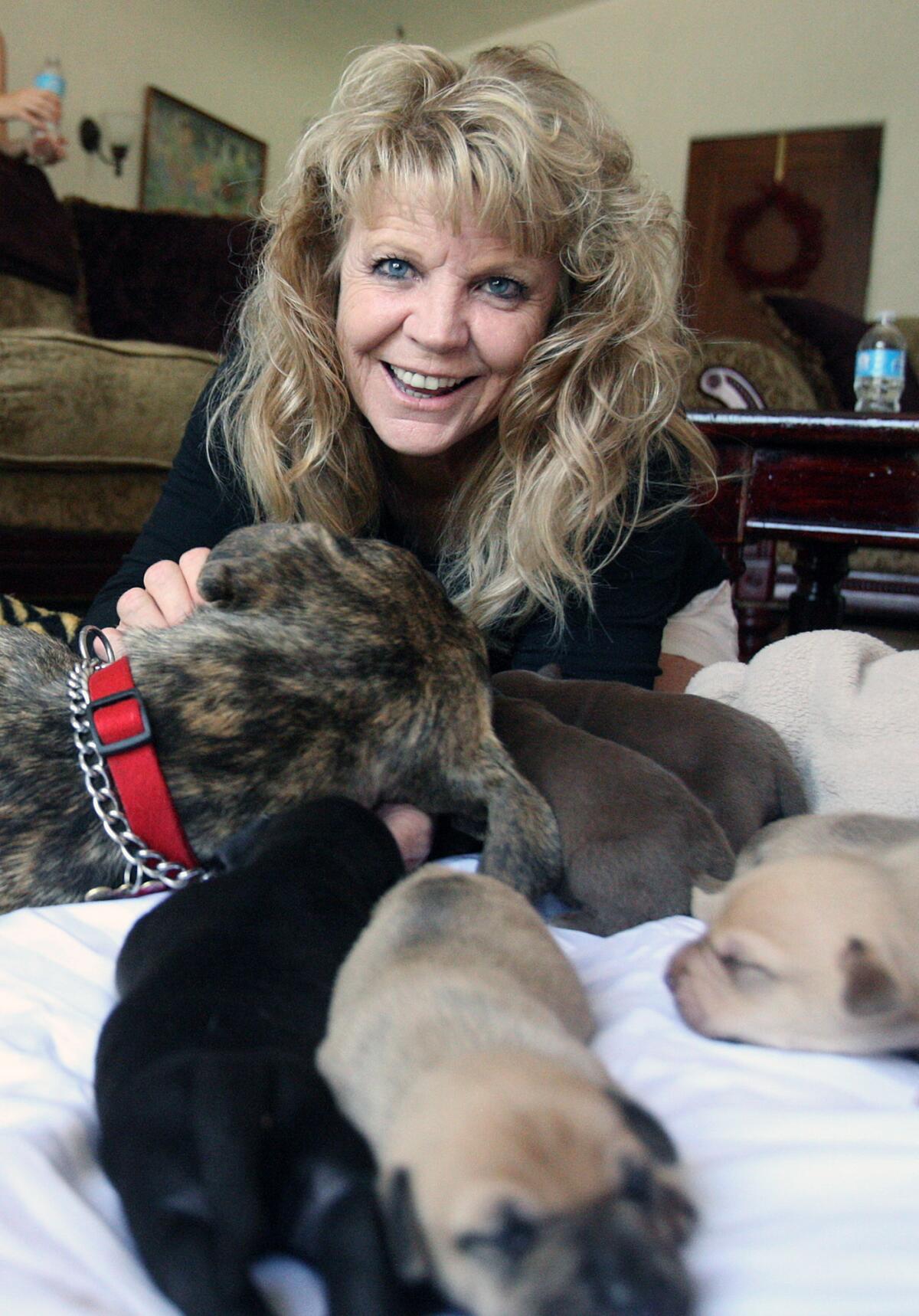 Jan Reedy with Chila, the mother of 8 puppies in the home of Jan Reedy of Montrose on Tuesday, July 8, 2014. Chila, the mother dog, was a homeless man's dog found in a lot with other dogs. Reedy rescued the dogs, and suddenly found herself having to care for 8 puppies Chila was carrying. The puppies are 10 days old.