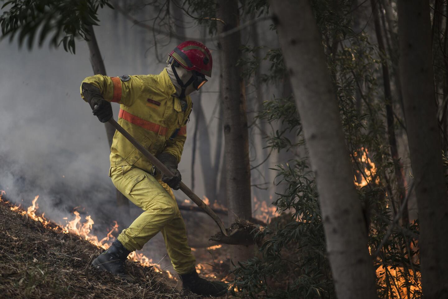 Portugal Wildfire