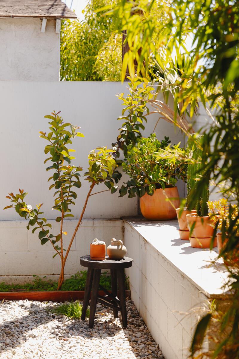 A quiet corner of the ADU's quaint backyard with potted plants.