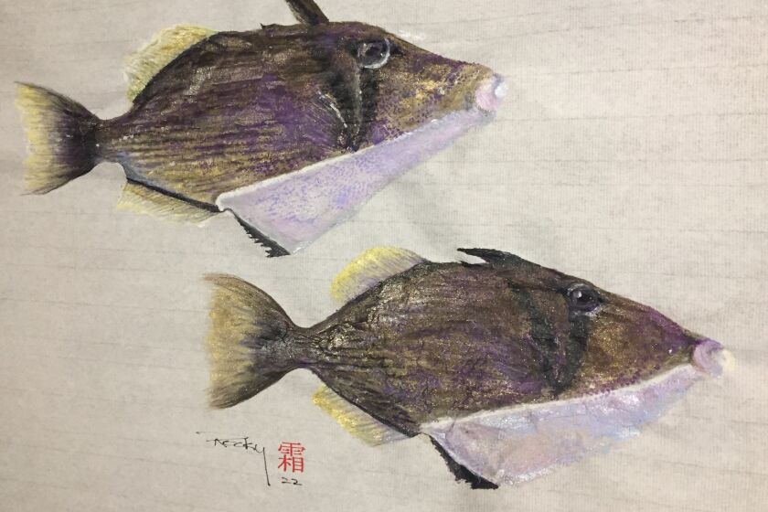 Gyotaku fish prints by Rocky Frost are on view at BFree Studios through Sept. 25.