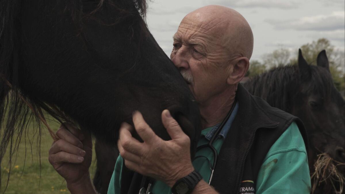 Dr. Jan Pol kisses his horse on Nat Geo Wild's No. 1 series, "The Incredible Dr. Pol."