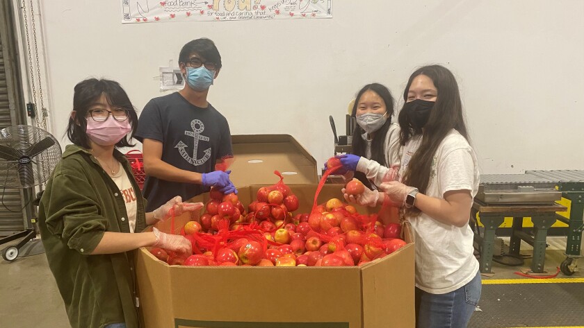 Pictured above are volunteers