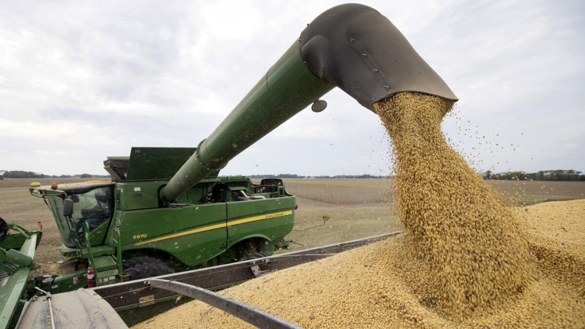 Soybeans are offloaded from a combine in Brownsburg, Ind.