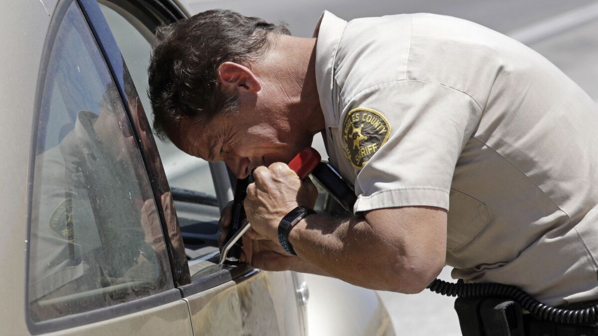 A member of the L.A. County Sheriff's Department's Domestic Highway Enforcement Team searches for drugs in a car stopped on the 5 Freeway.