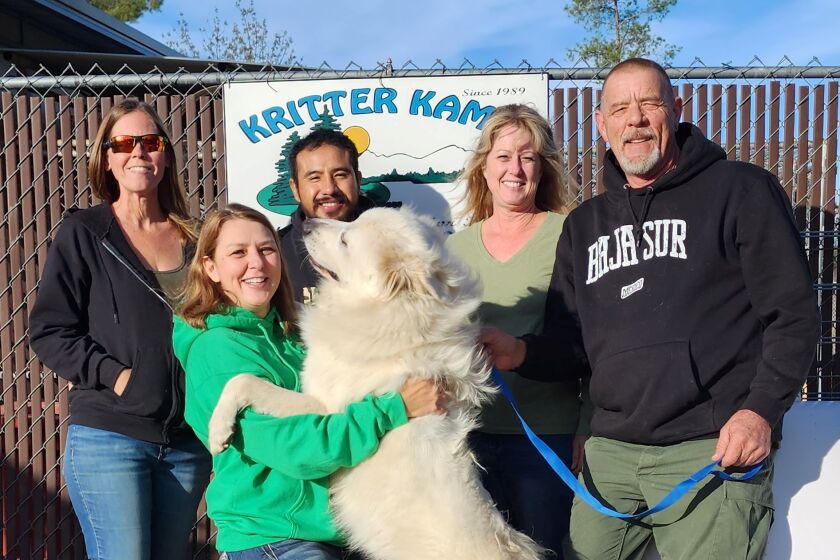 The Kritter Kamp staff: Dr. Anne Serdy, Ozzy the Great Pyrenees, Paul Nilson,  Angie Ohr, Edmundo Hernandez and Stacie Keyes.
