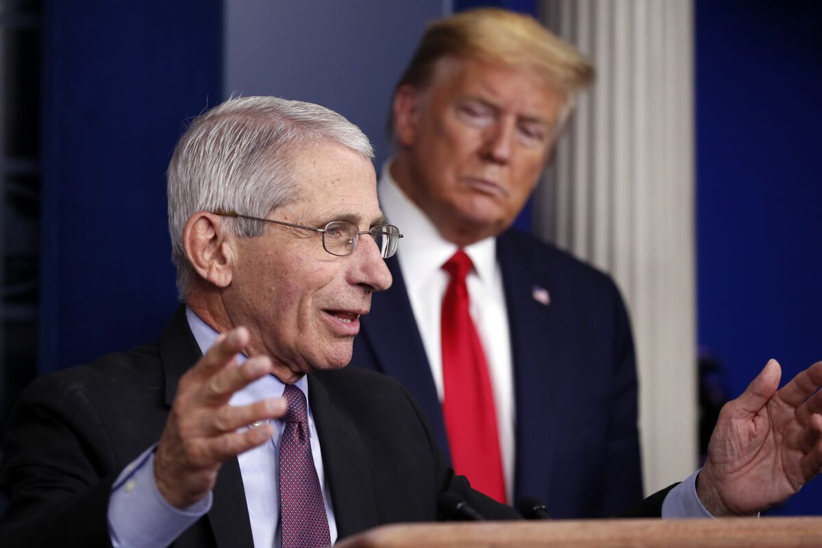 President Trump watches Dr. Anthony Fauci as he speaks at the White House