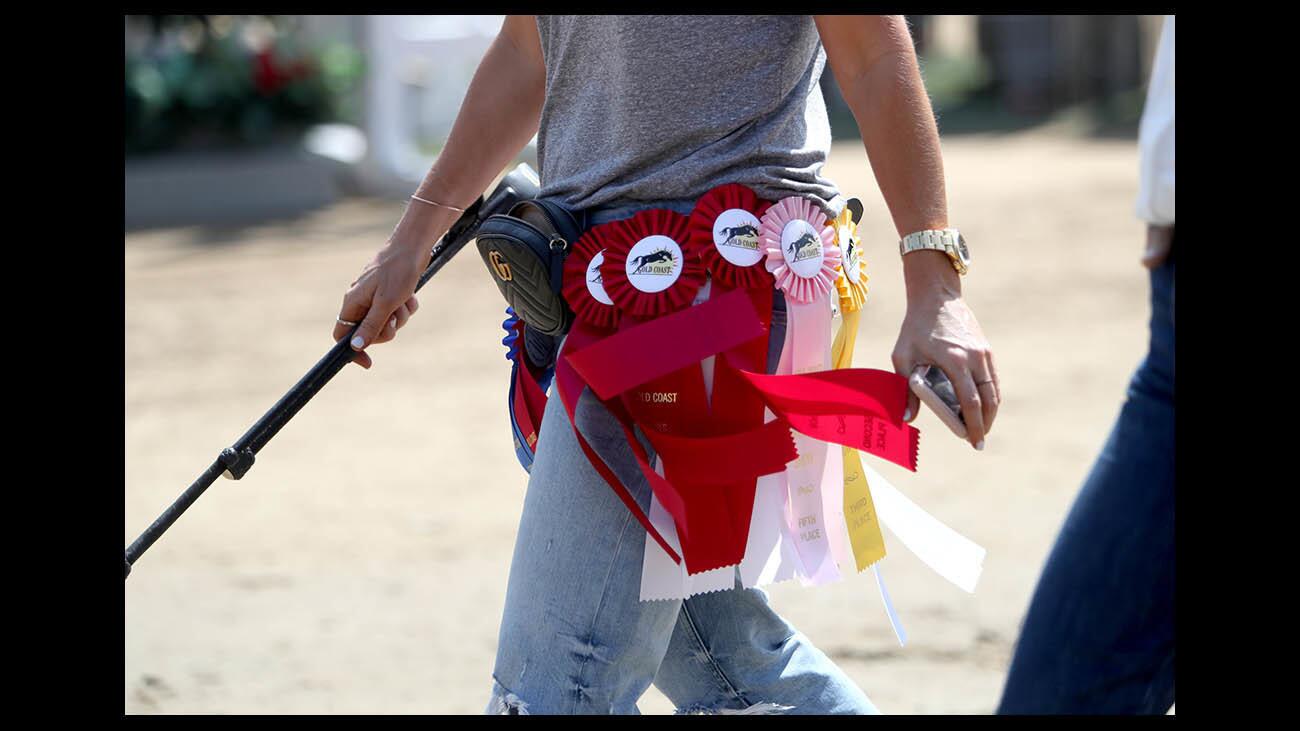 Photo Gallery: Hunter/Jumper Show at the Los Angeles Equestrian Center