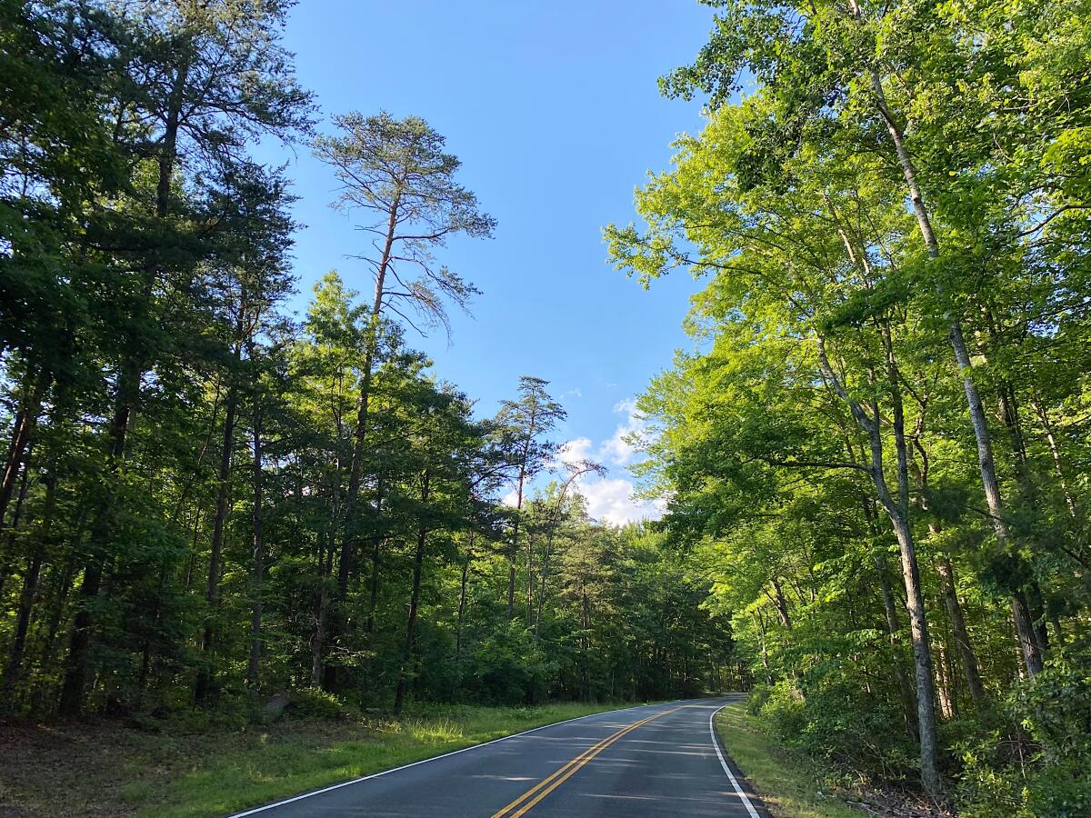 Prince William Forest Park in Prince William County, Va.