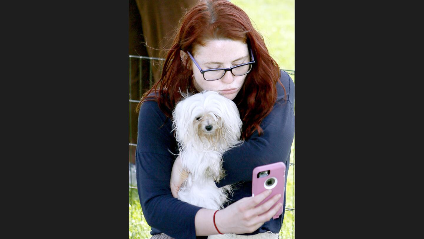 Photo Gallery: Puppies help relieve finals week stress at Glendale College