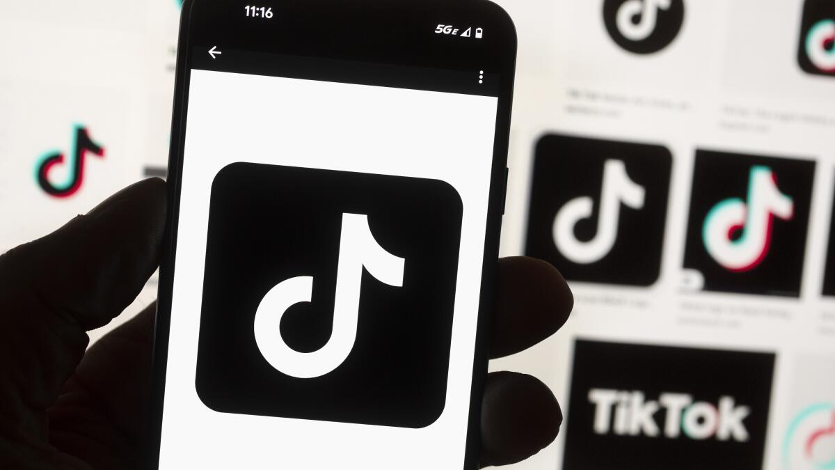 TikTok needs to be sold or risk nationwide ban, Biden