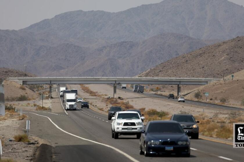 LA Times Today: Can bighorns, a bullet train and a huge solar farm coexist in the Mojave Desert?