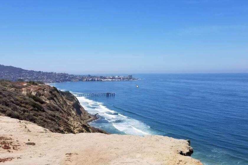 A view from the Scripps Coastal Reserve of La Jolla, as presented by David Lebowitz to the La Jolla Shores Association.