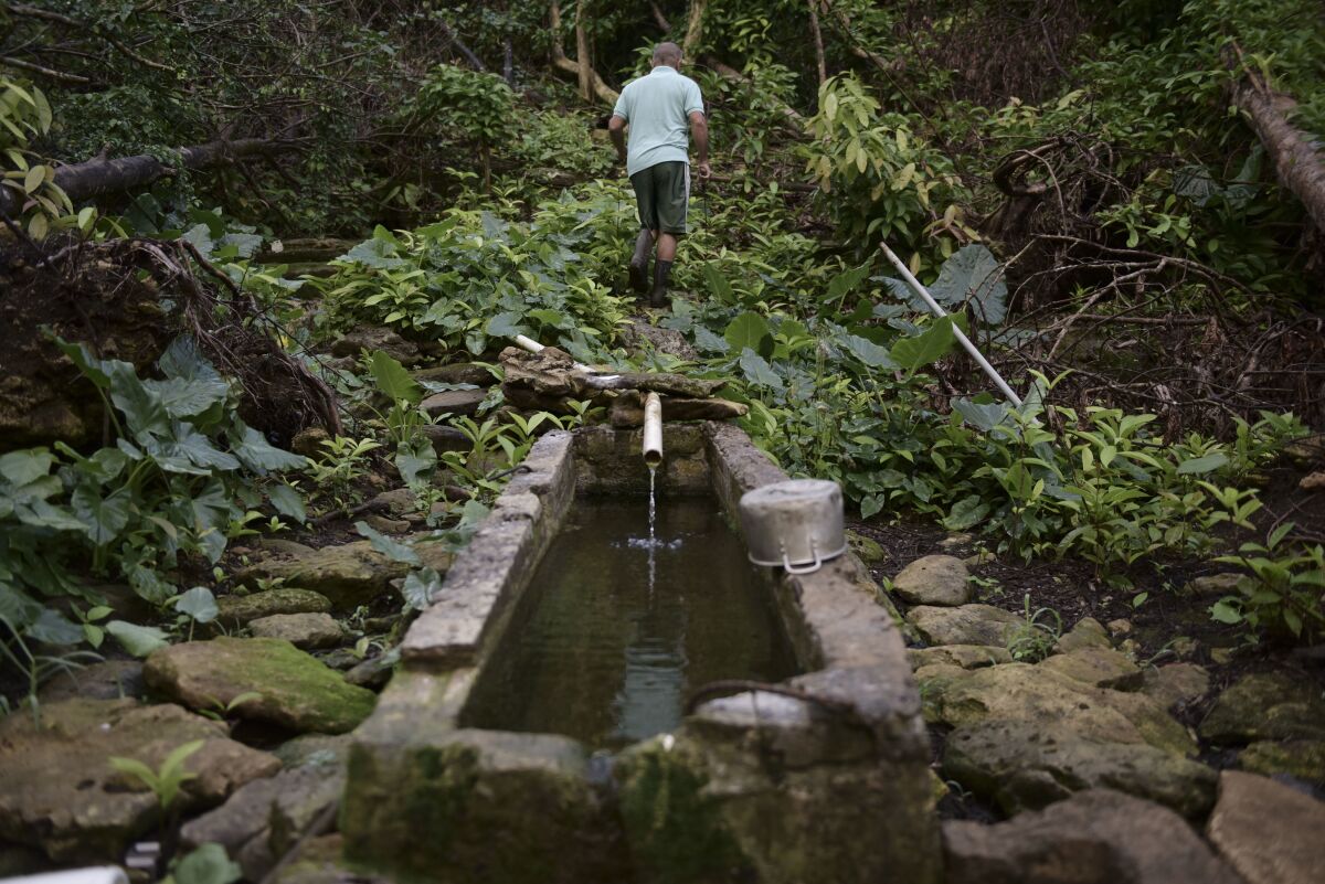 FILE - Jose Luis Gonzalez walks through a ravine known as "La Raja de Rosa," where people from Barrio Patron get their water supply in Morovis, Puerto Rico, Dec. 22, 2017, three months after Hurricane Maria hit. Puerto Rico’s water and sewer company was hit by a federal lawsuit on June 2, 2022, demanding that it provide services to residents who lack potable water on a daily basis. The lawsuit was filed by the mayor of Morovis who said daily interruptions in water service have been a problem that grew worse after Hurricane Maria razed the electric grid. (AP Photo/Carlos Giusti, File)