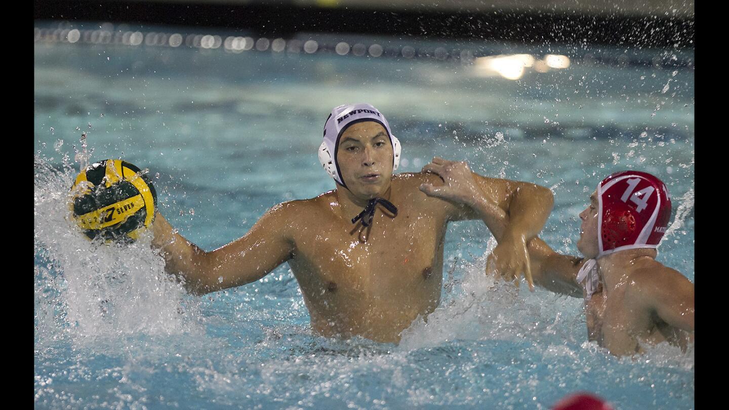 Newport Falls to Mater Dei in Water Polo Semi Final