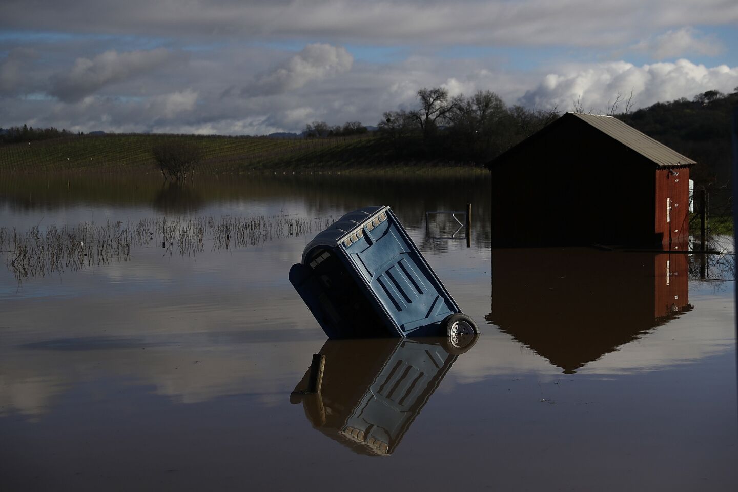 A portable toilet is submerged in floodwaters at a vineyard in Forestville.