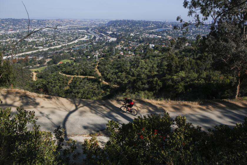 This unique trail located south of Griffith Park holds spectacular views of cities, bikers and hikers.
