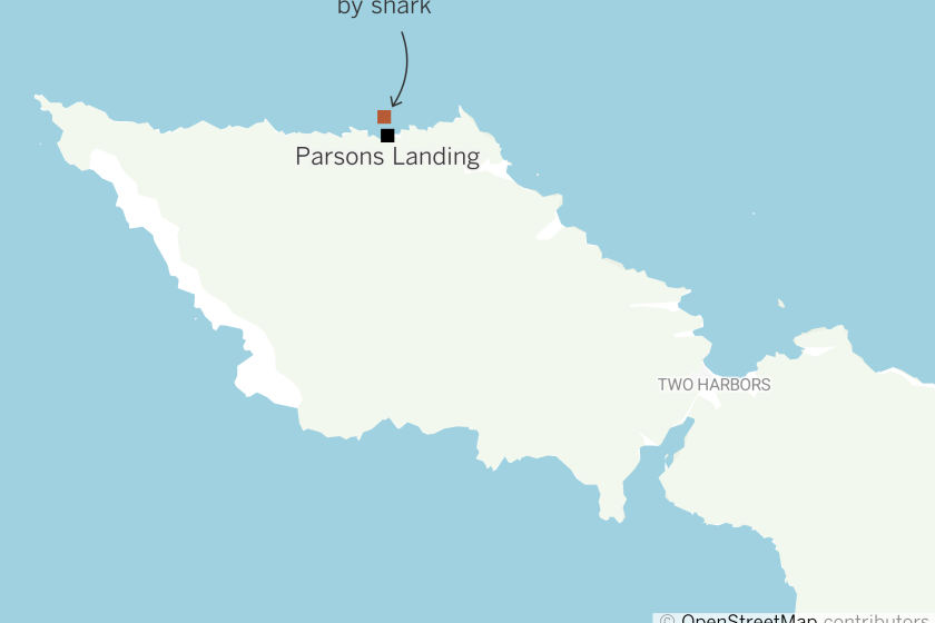 Area where shark attack occurred