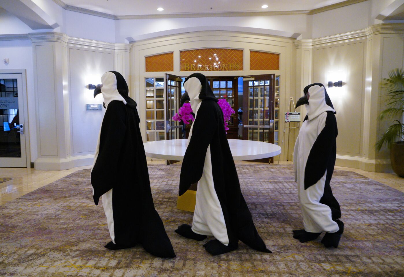 A group of penguins march past the lobby heading for the Costume-Con held in Mission Valley this past weekend.