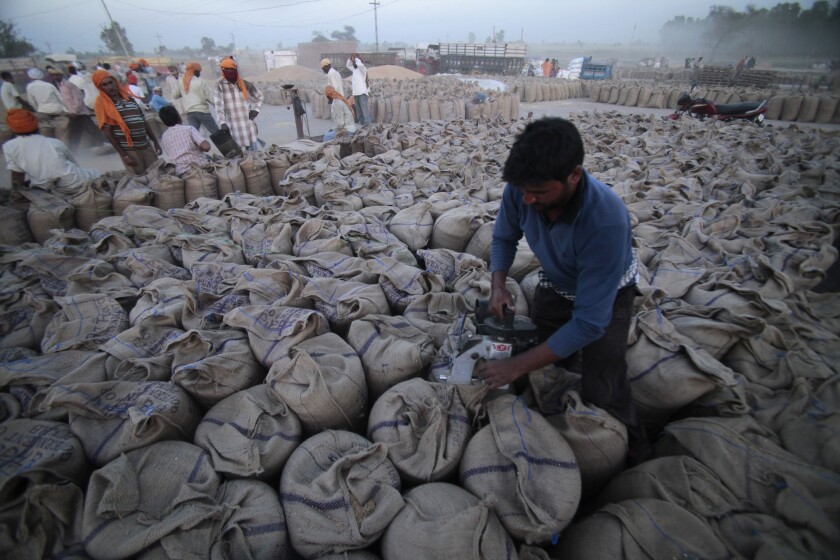 FILE - A laborer seals sacks filled with wheat in Gurdaspur, in the northern Indian state of Punjab, April 30, 2014. (AP Photo/Channi Anand, File)