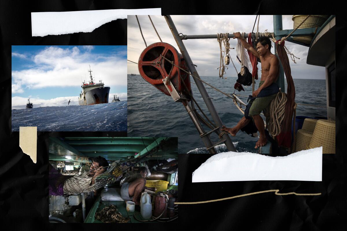 A collage of images at sea. 