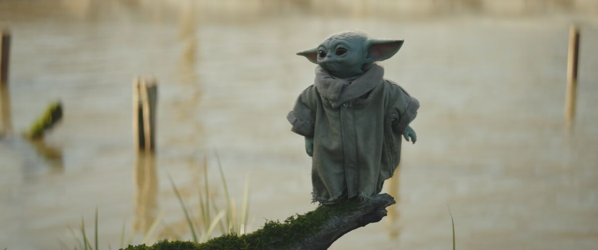 an alien toddler standing above a swamp