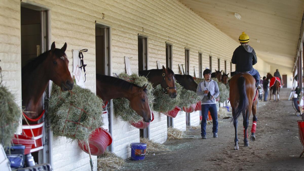 The San Luis Rey Training Center recently reopened with close to 200 horses returning to their stables.