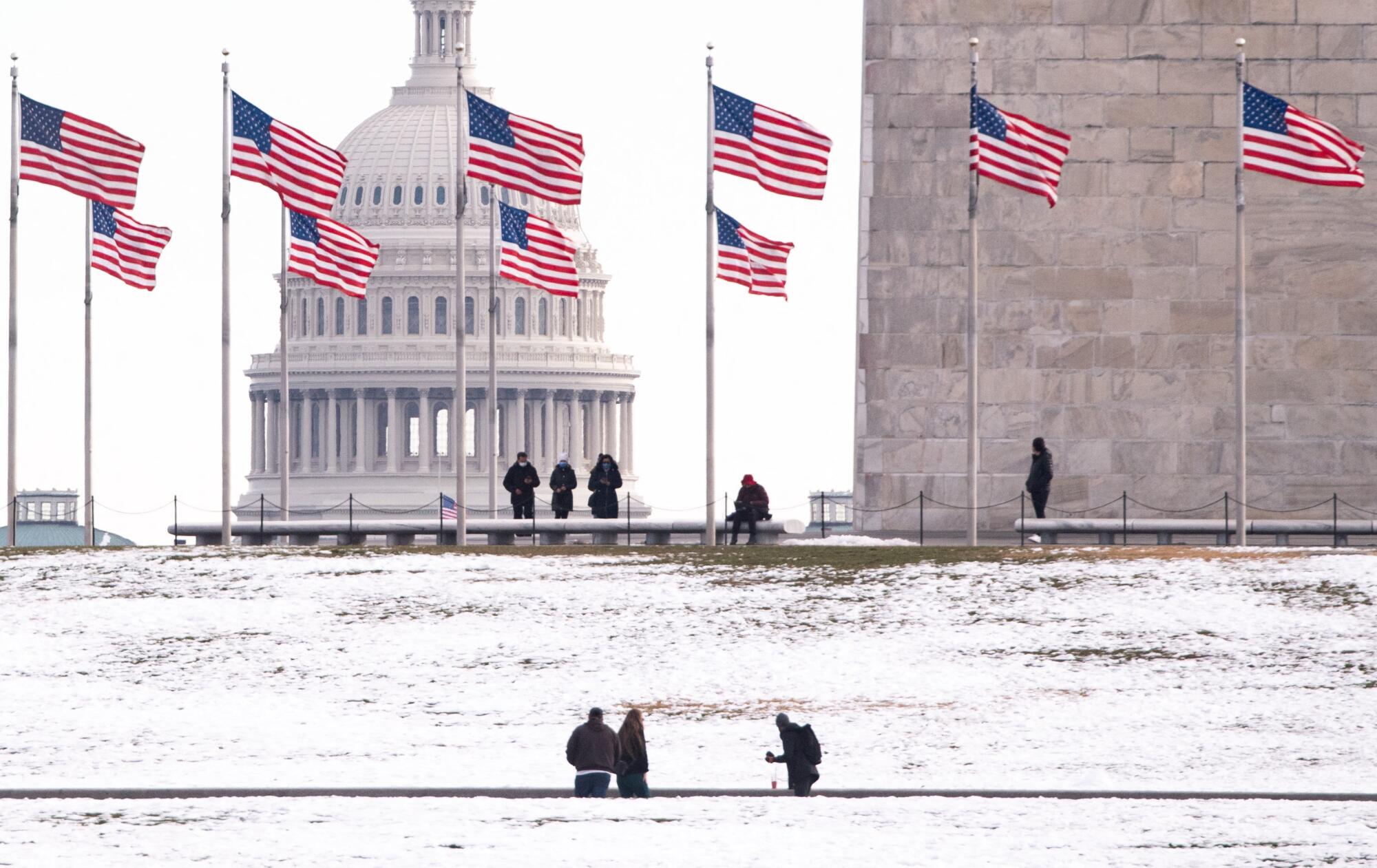 The U.S. Capitol is seen in the background, with the base of the Washington Monument in the right foreground