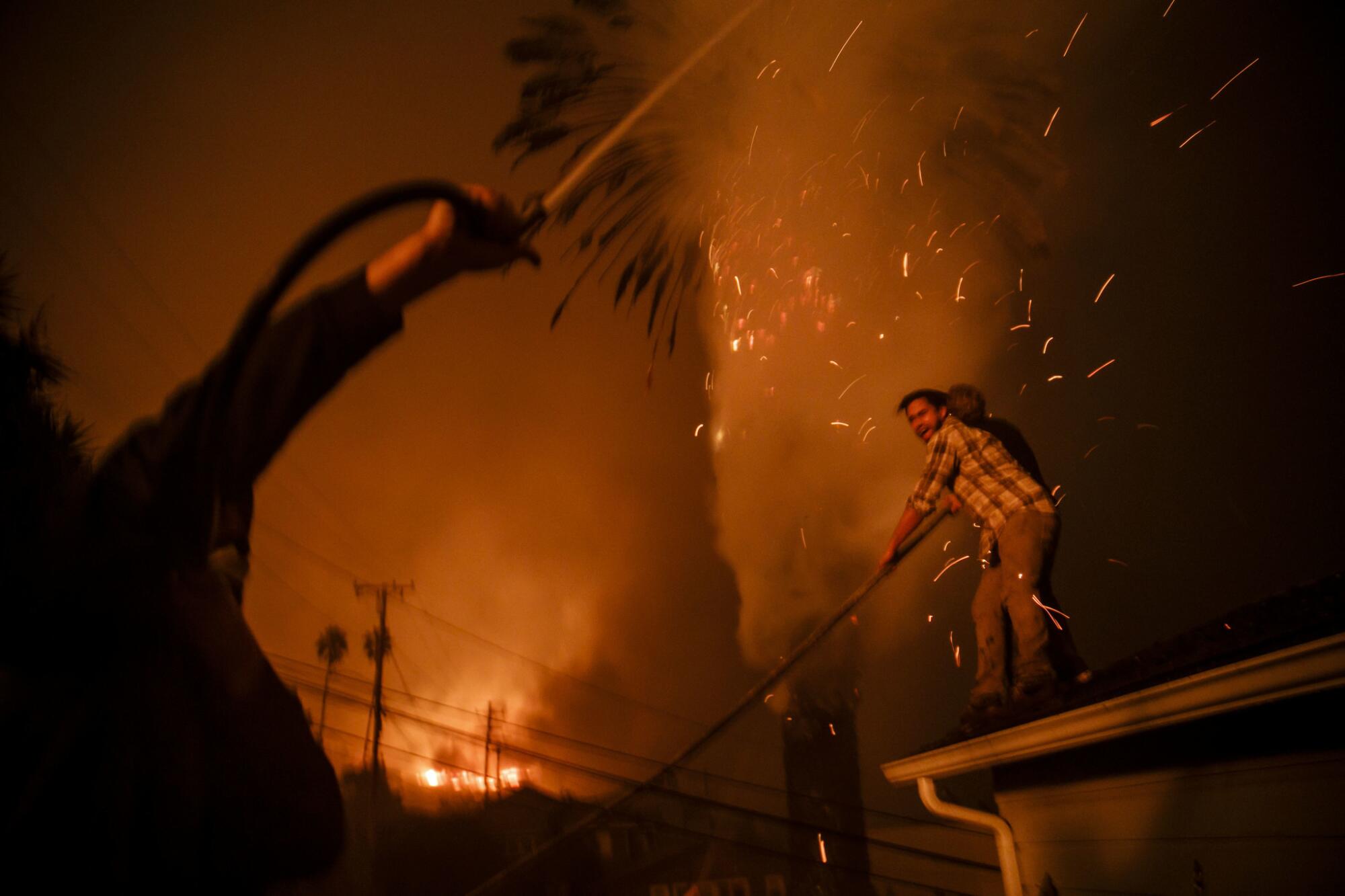 Strangers help put out a palm tree on fire as a brush fire threatens structures in Ventura, Calif., Dec. 5, 2017. 