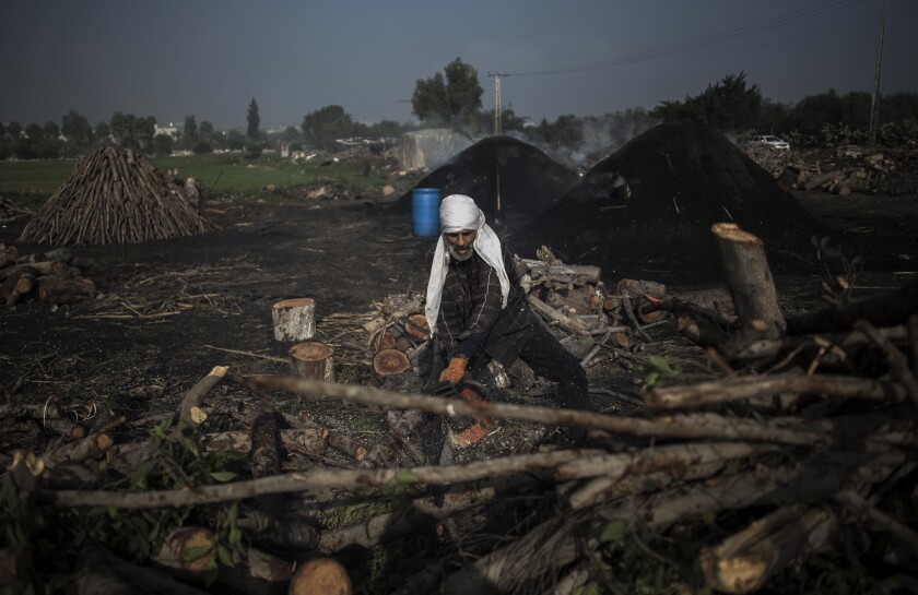 A Palestinian man cuts wood using a chainsaw in a traditional charcoal production site in the town of Jabaliya, Northern Gaza Strip, Thursday, Jan. 7, 2021.(AP Photo/Khalil Hamra)