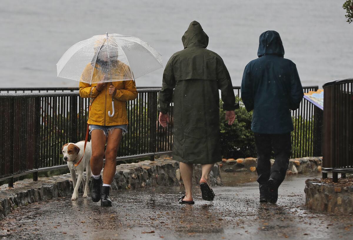 Rainy conditions don't deter a few Sunday afternoon walkers at Heisler Park in Laguna Beach Sunday.