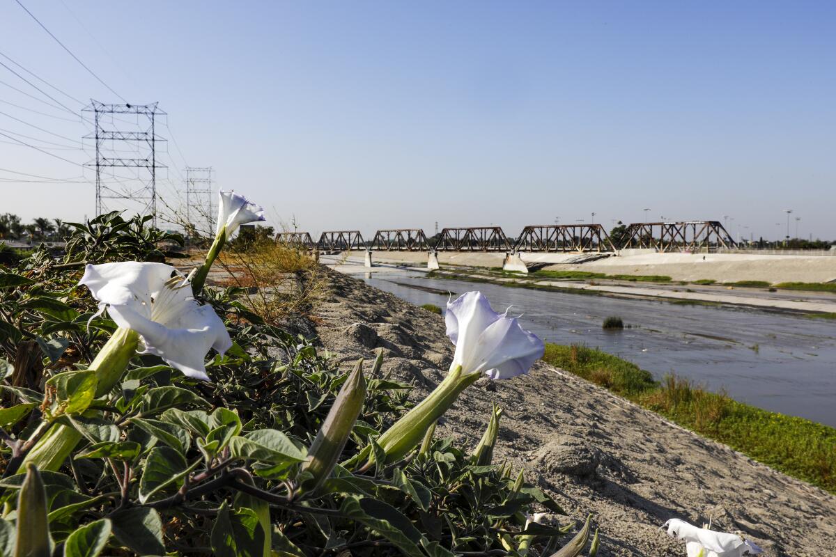 A view of Los Angeles River in South Gate.