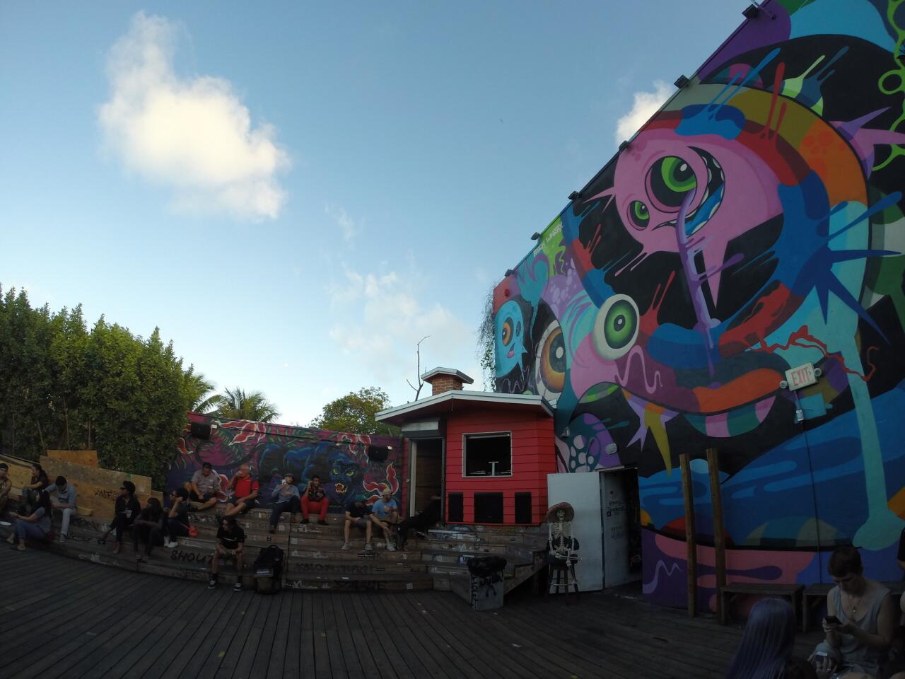 Pictures: Wynwood street art district in Miami